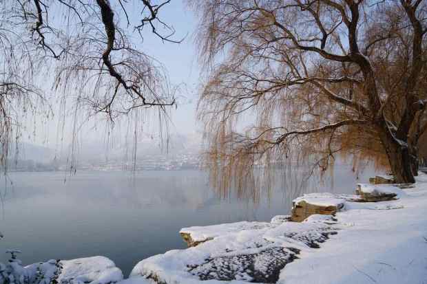 【自在庄园】冬天雪景78