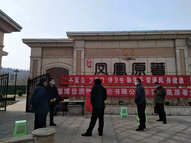 泰宝·凤凰原著 抗击疫情,我们在行动!82