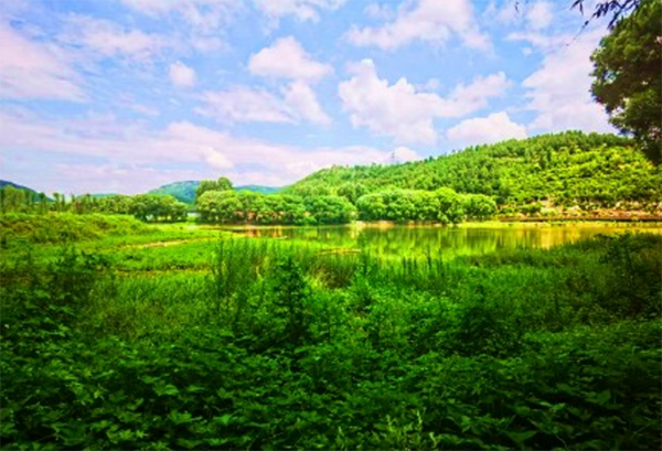 五阳湖随景10