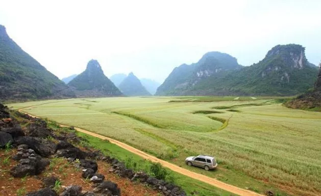 清明踏青健康指南90