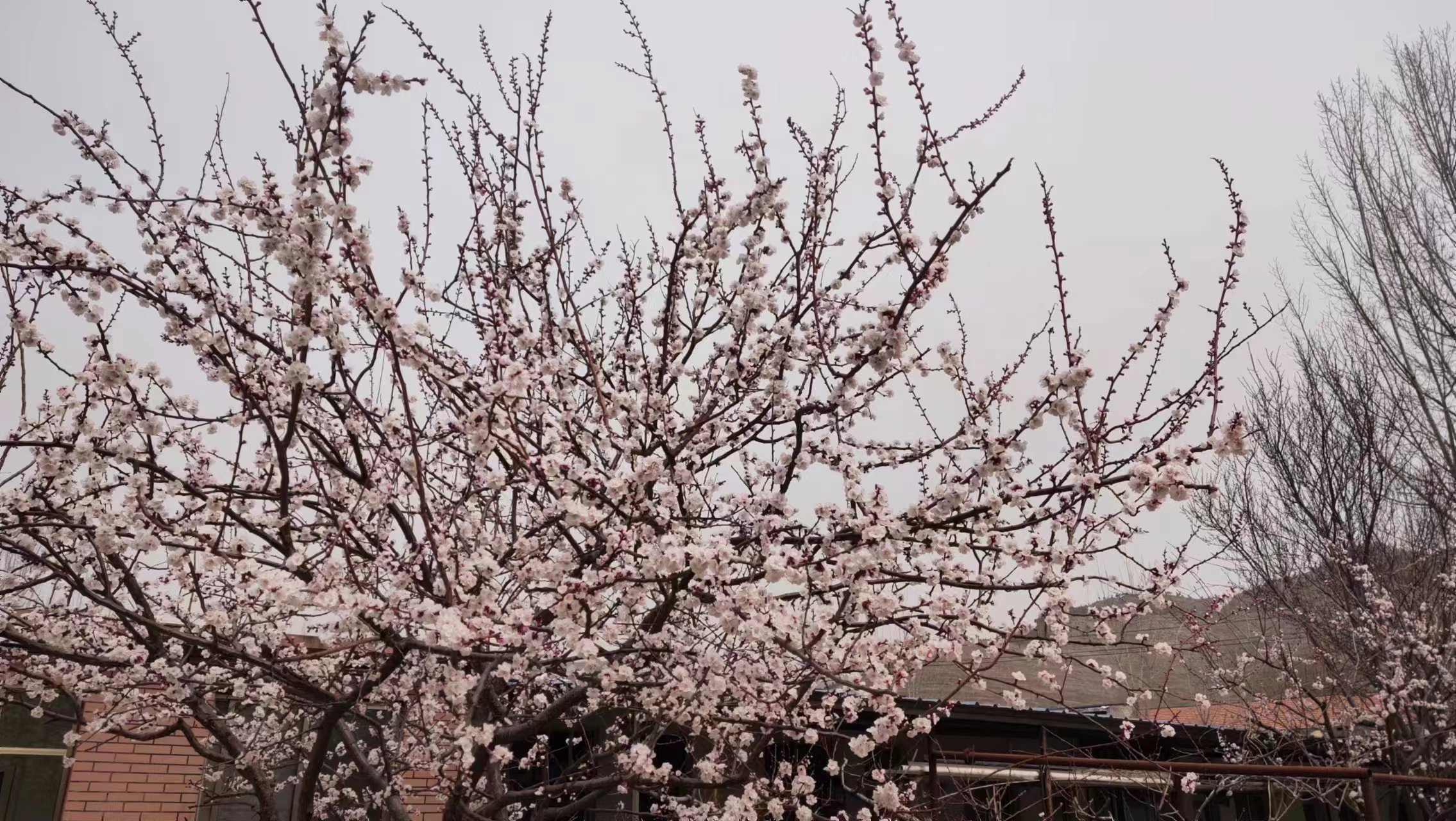 女同志的专属节日40