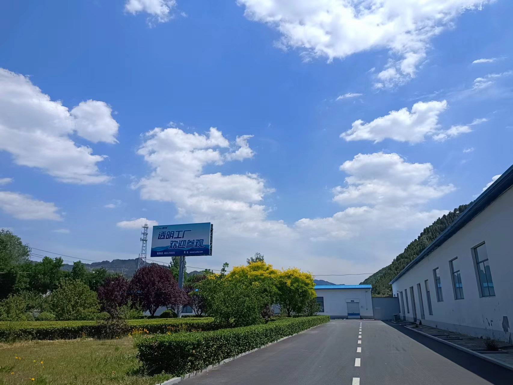 六月的夏季68